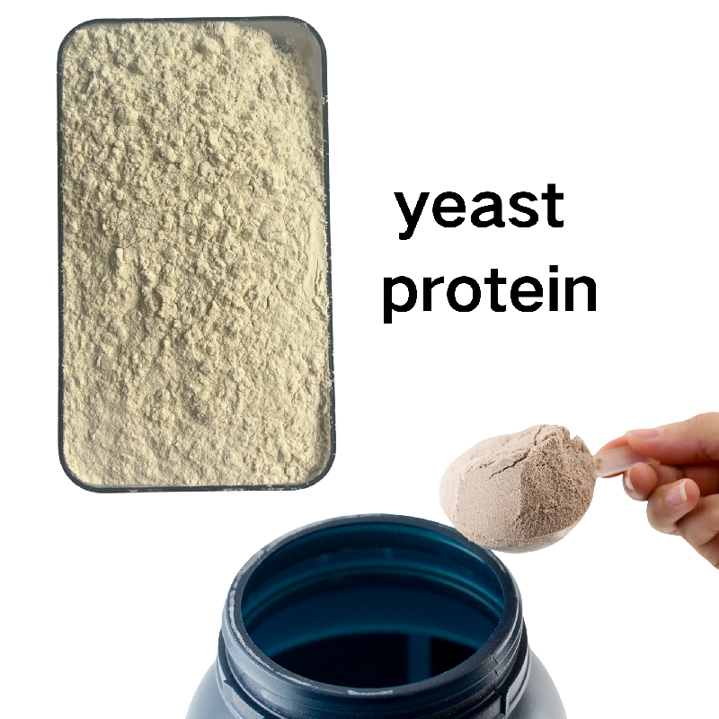 Yeast Protein F88MC Natural Cosmetic Raw Material for High Quality Skin Care and Hair Care Product Formulation