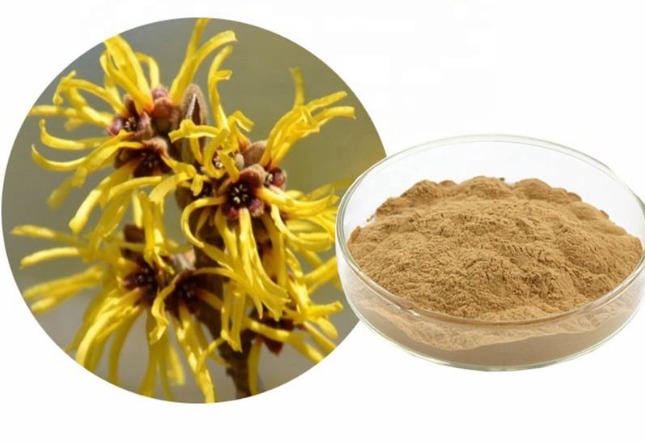 10:1 Ratio Witch Hazel Leaf Extract Powder, Natural Botanical Extract for Cosmetic Formulation