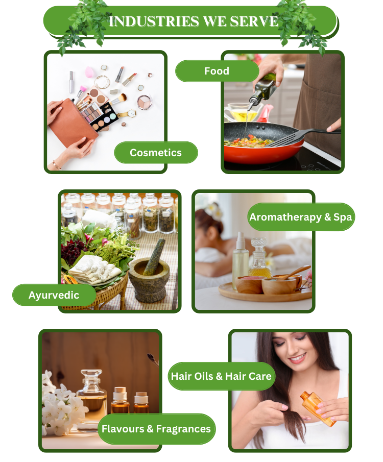Bhringraj Oil from Traditional Indian Botanical Sources for Personal Care Products Hair Care Blends and Beauty Formulation