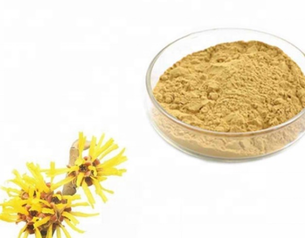10:1 Ratio Witch Hazel Leaf Extract Powder, Natural Botanical Extract for Cosmetic Formulation