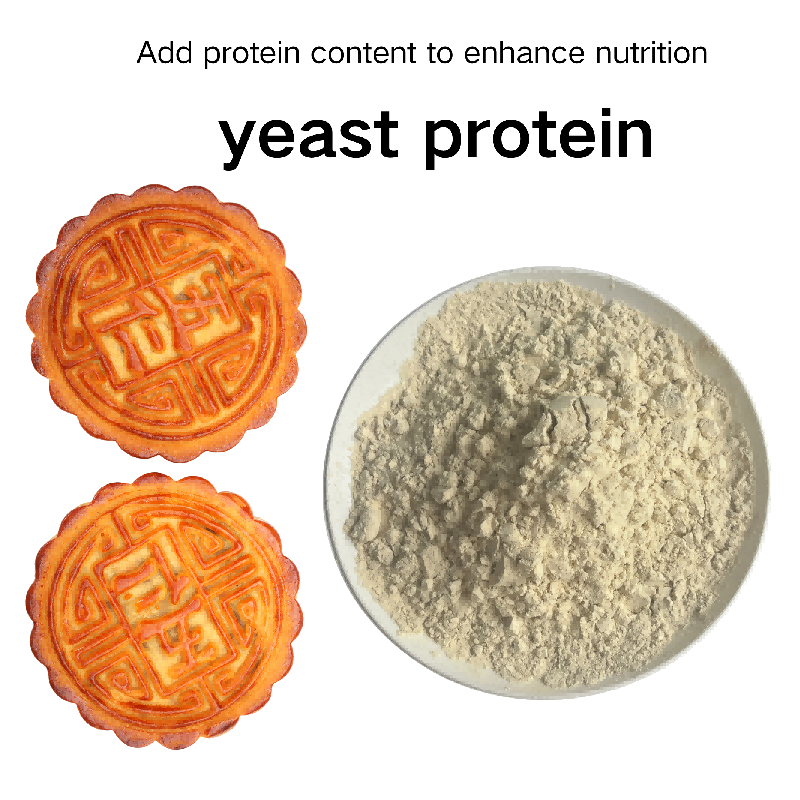 Yeast Protein F88MC Natural Cosmetic Raw Material for High Quality Skin Care and Hair Care Product Formulation