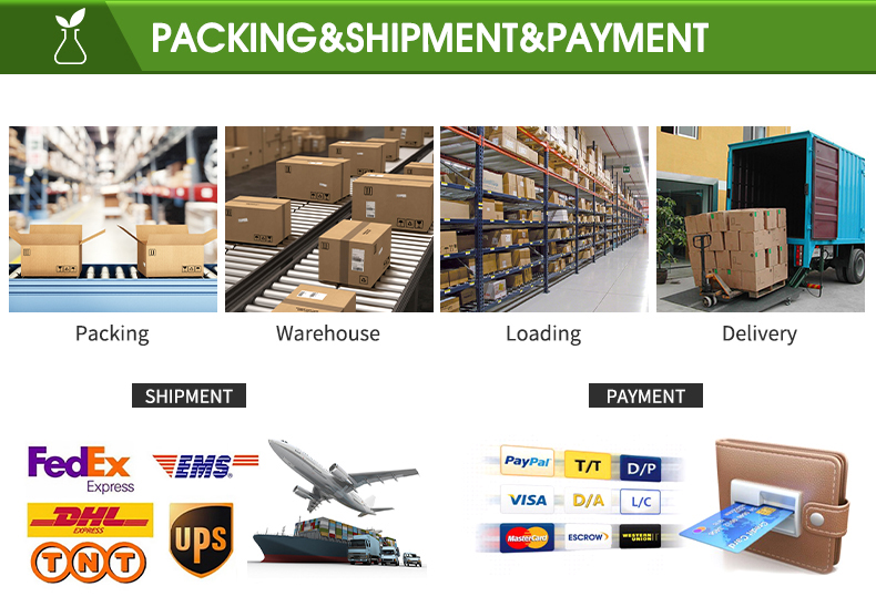 Packing and Shipment