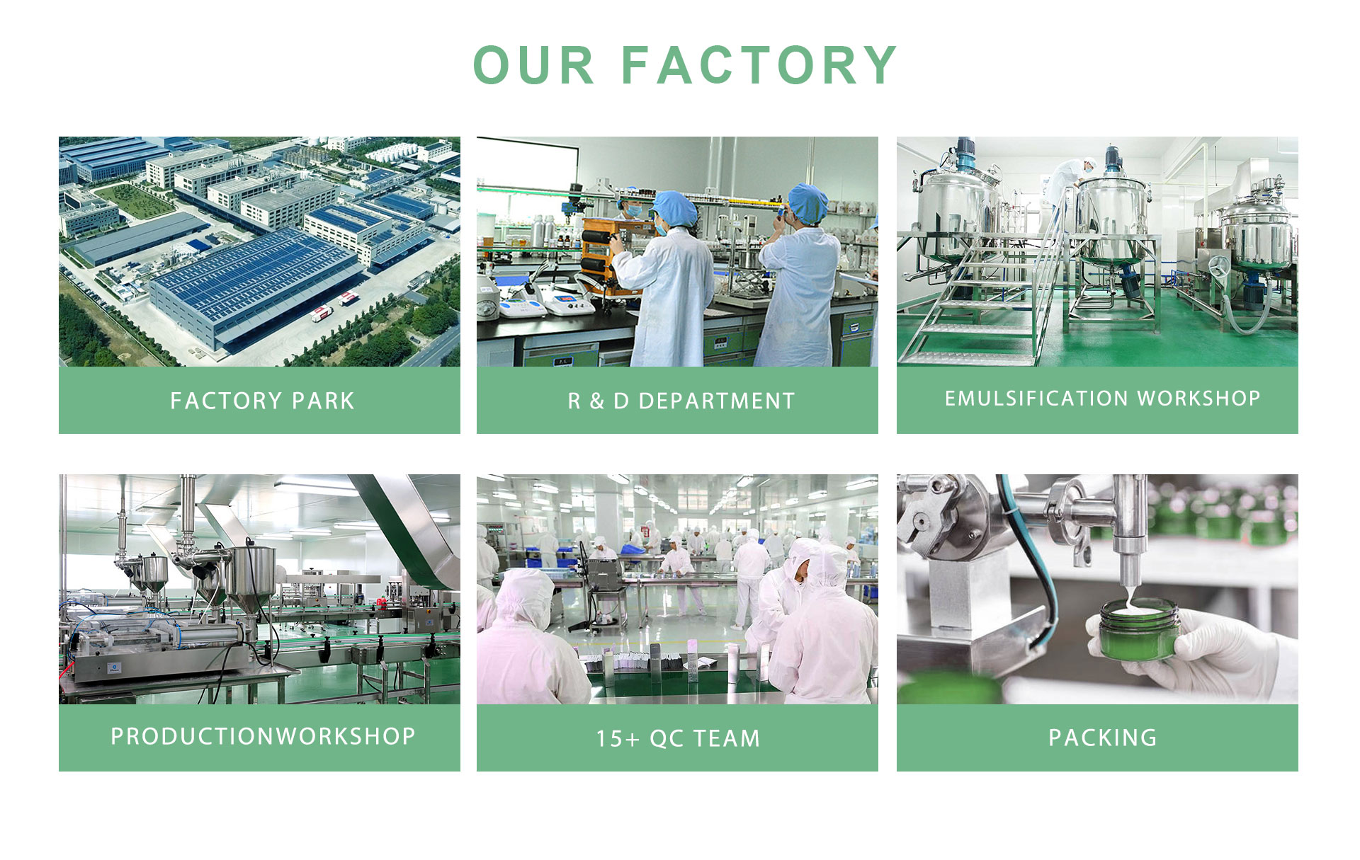 Company Profile 1