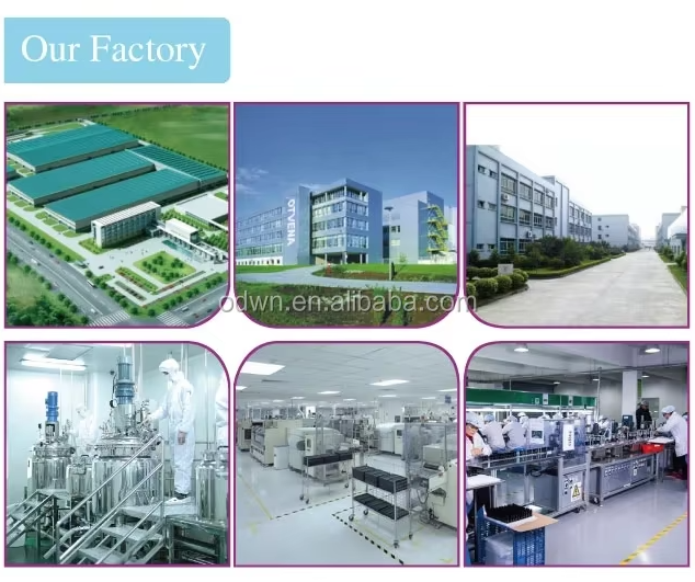Factory Profile