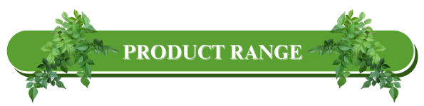 Bhringraj Oil from Traditional Indian Botanical Sources for Personal Care Products Hair Care Blends and Beauty Formulation