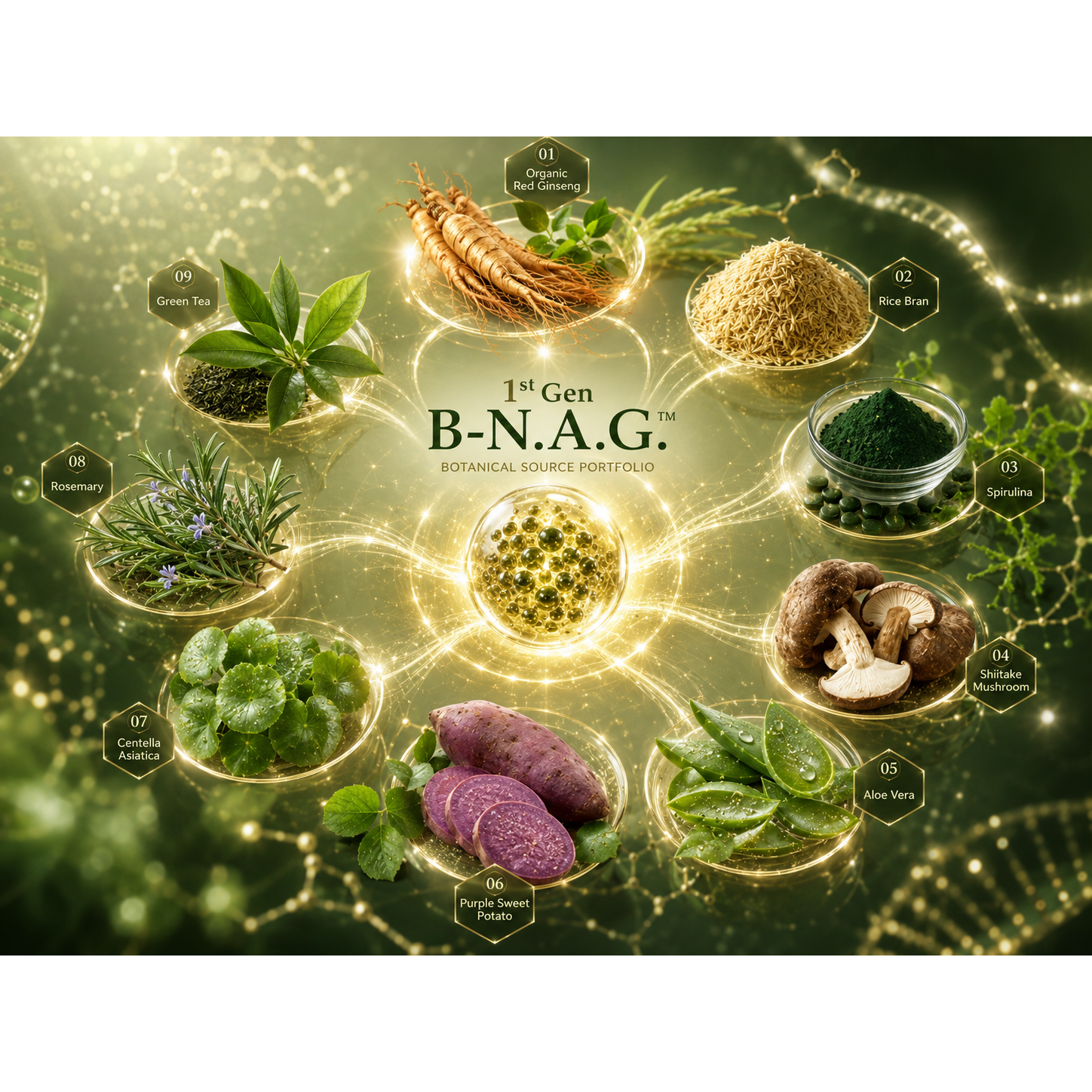 Phyto Exosome Cosmetic Raw Material Specific Reagent skin health anti aging toxins optimized formulation natural beauty repair