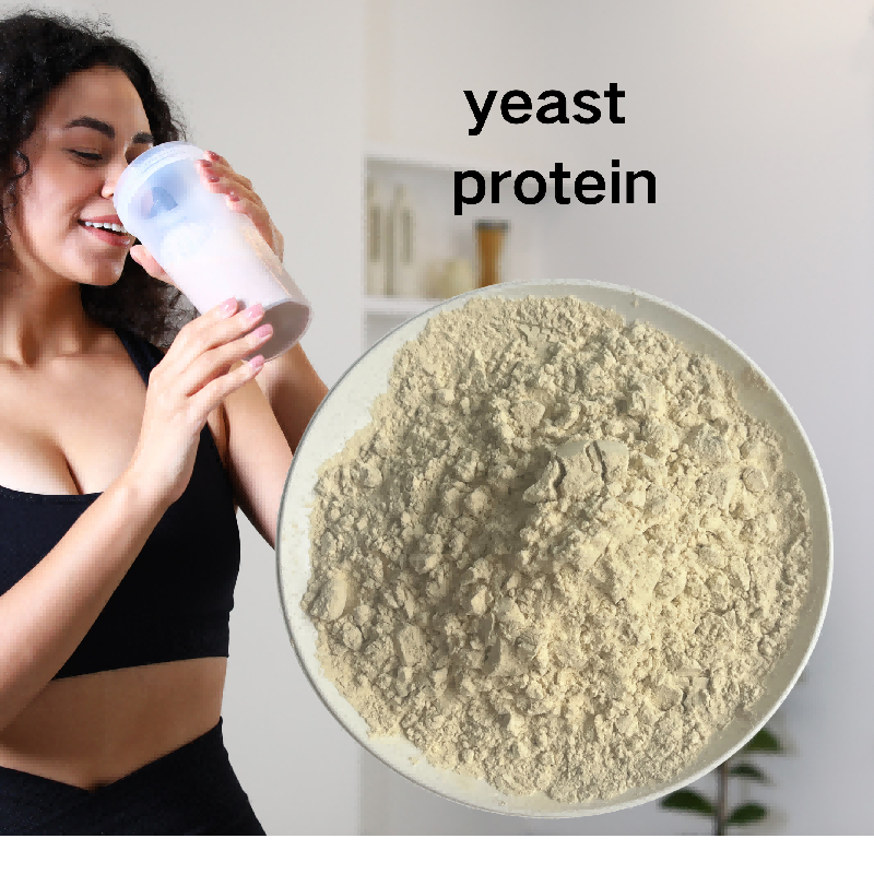 Yeast Protein F88MC Natural Cosmetic Raw Material for High Quality Skin Care and Hair Care Product Formulation