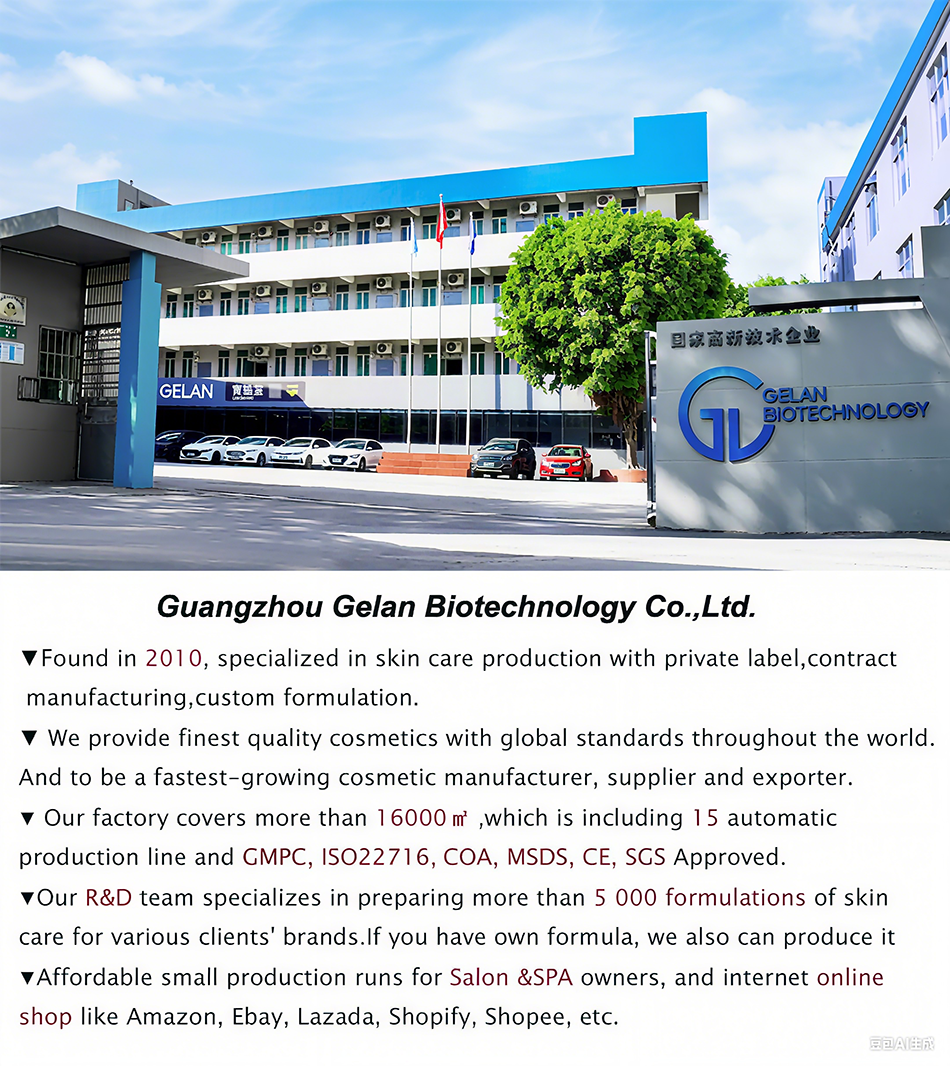 Company Profile Overview