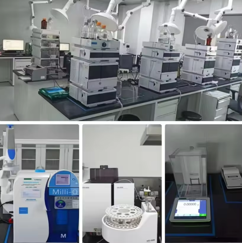 Company Facility and Overview
