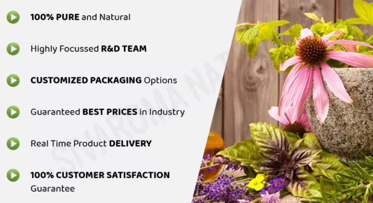 Bhringraj Oil from Traditional Indian Botanical Sources for Personal Care Products Hair Care Blends and Beauty Formulation