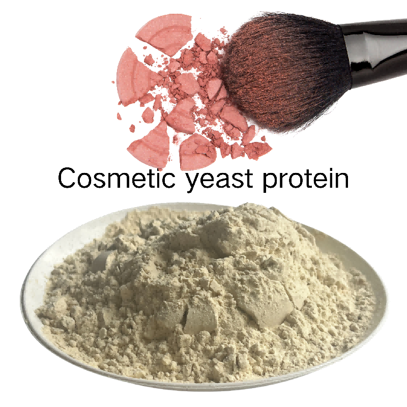 Yeast Protein F88MC Natural Cosmetic Raw Material for High Quality Skin Care and Hair Care Product Formulation