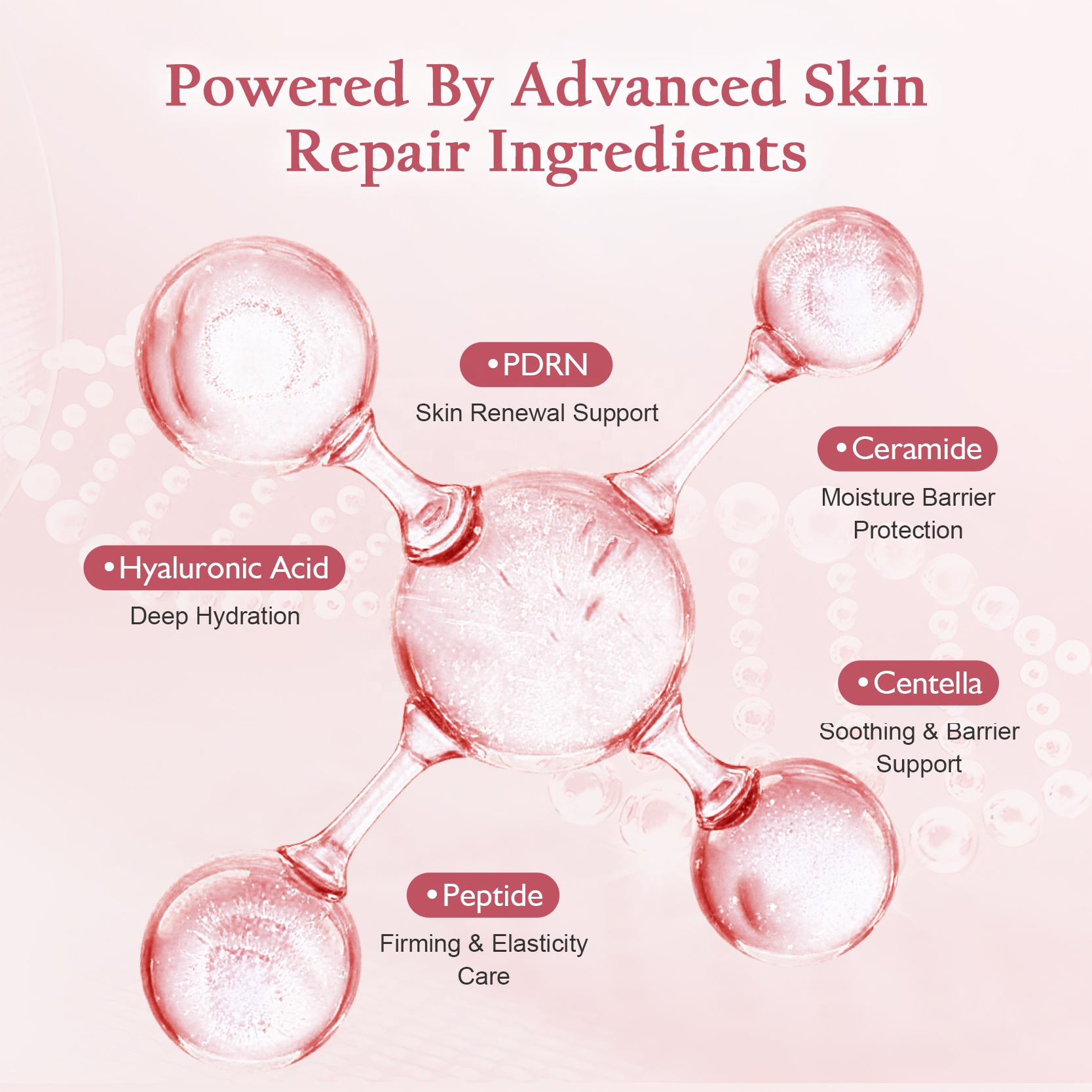 Korean PDRN Skin Care Routine Salmon DNA Peptide Niacinamide Hyaluronic Acid Serum Cream Glow Repair Care Skincare Set