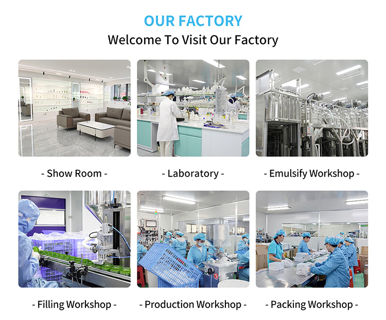 Company Profile 2
