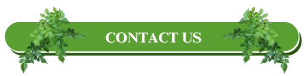 Bhringraj Oil from Traditional Indian Botanical Sources for Personal Care Products Hair Care Blends and Beauty Formulation