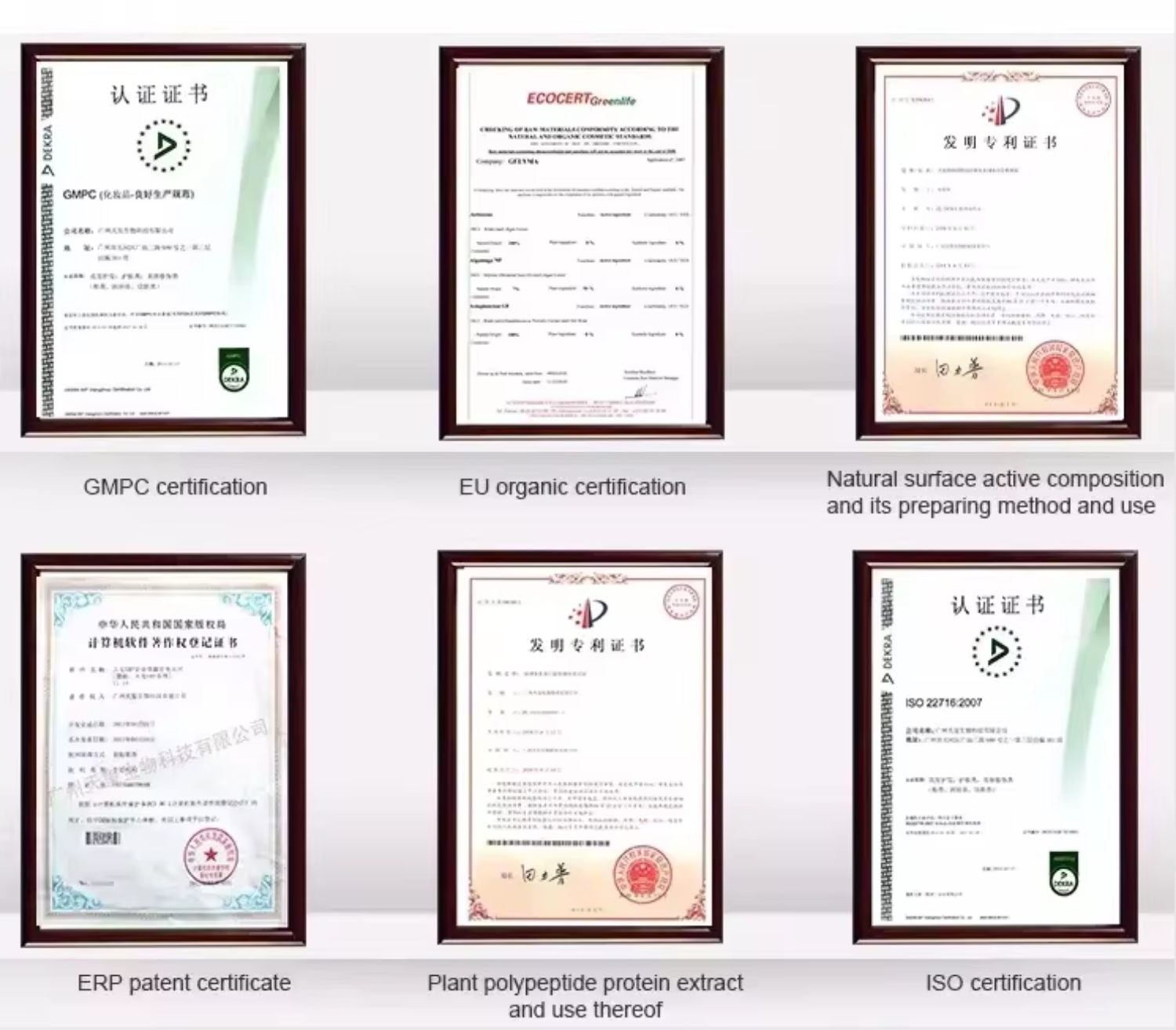 Company Overview