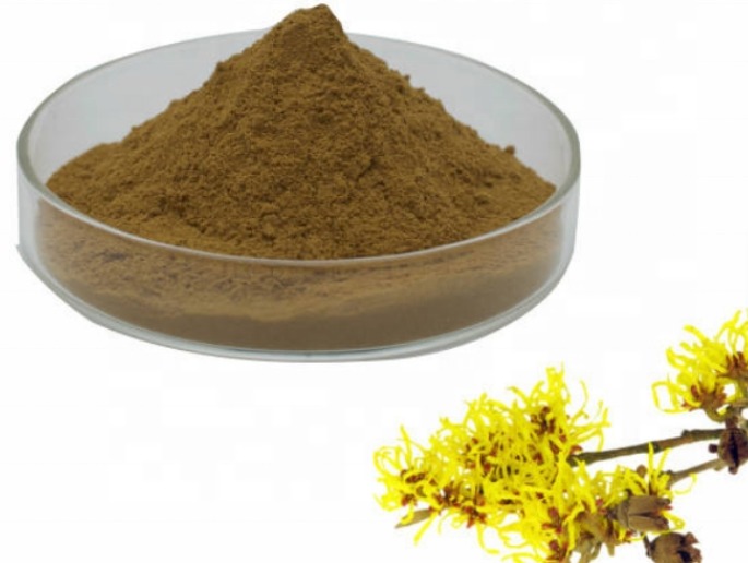 10:1 Ratio Witch Hazel Leaf Extract Powder, Natural Botanical Extract for Cosmetic Formulation
