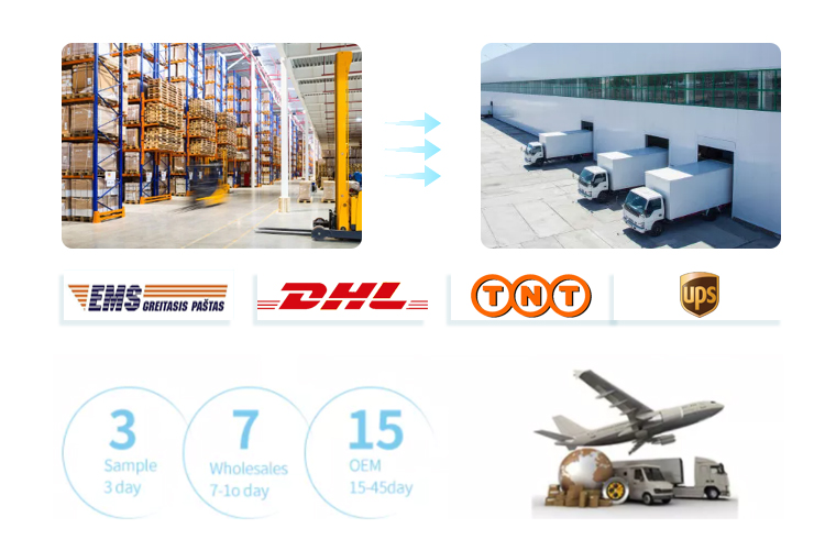Shipping Logistics