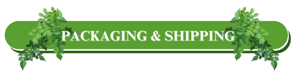 Bhringraj Oil from Traditional Indian Botanical Sources for Personal Care Products Hair Care Blends and Beauty Formulation